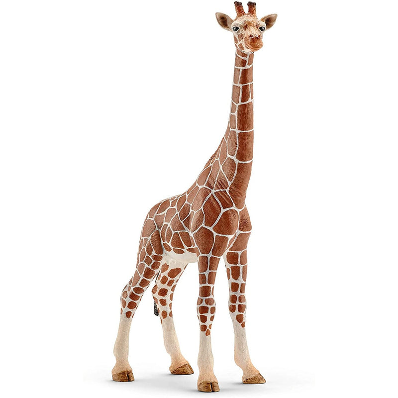 Schleich Giraffe - Female-SCHLEICH-Little Giant Kidz