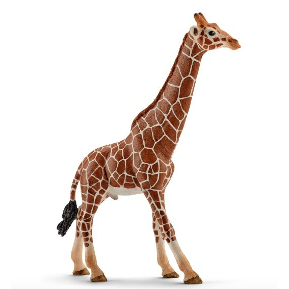 Schleich Giraffe - Male-SCHLEICH-Little Giant Kidz