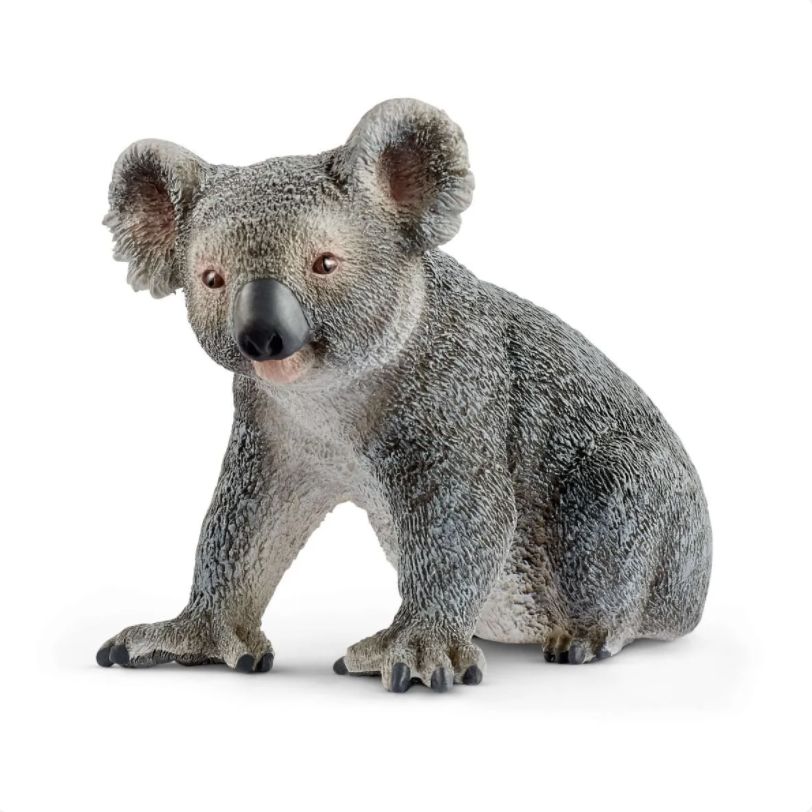 Schleich Koala Bear-SCHLEICH-Little Giant Kidz