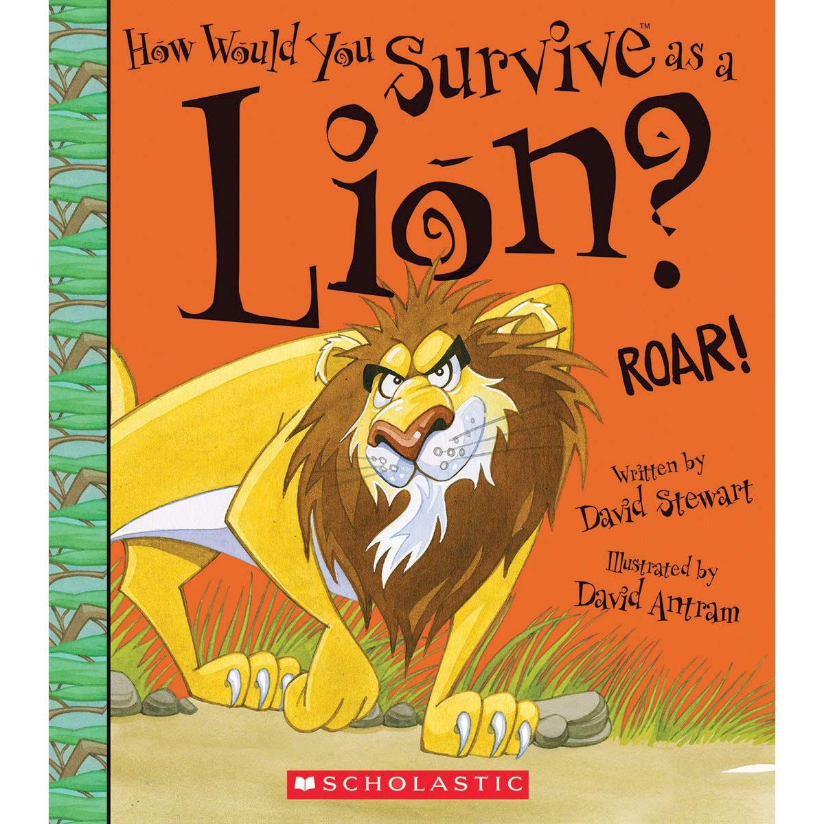 Scholastic: How Would You Survive as a Lion? (Paperback Book)-Scholastic-Little Giant Kidz