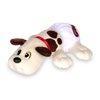 Schylling Pound Puppies Newborns Adoption-SCHYLLING-Little Giant Kidz