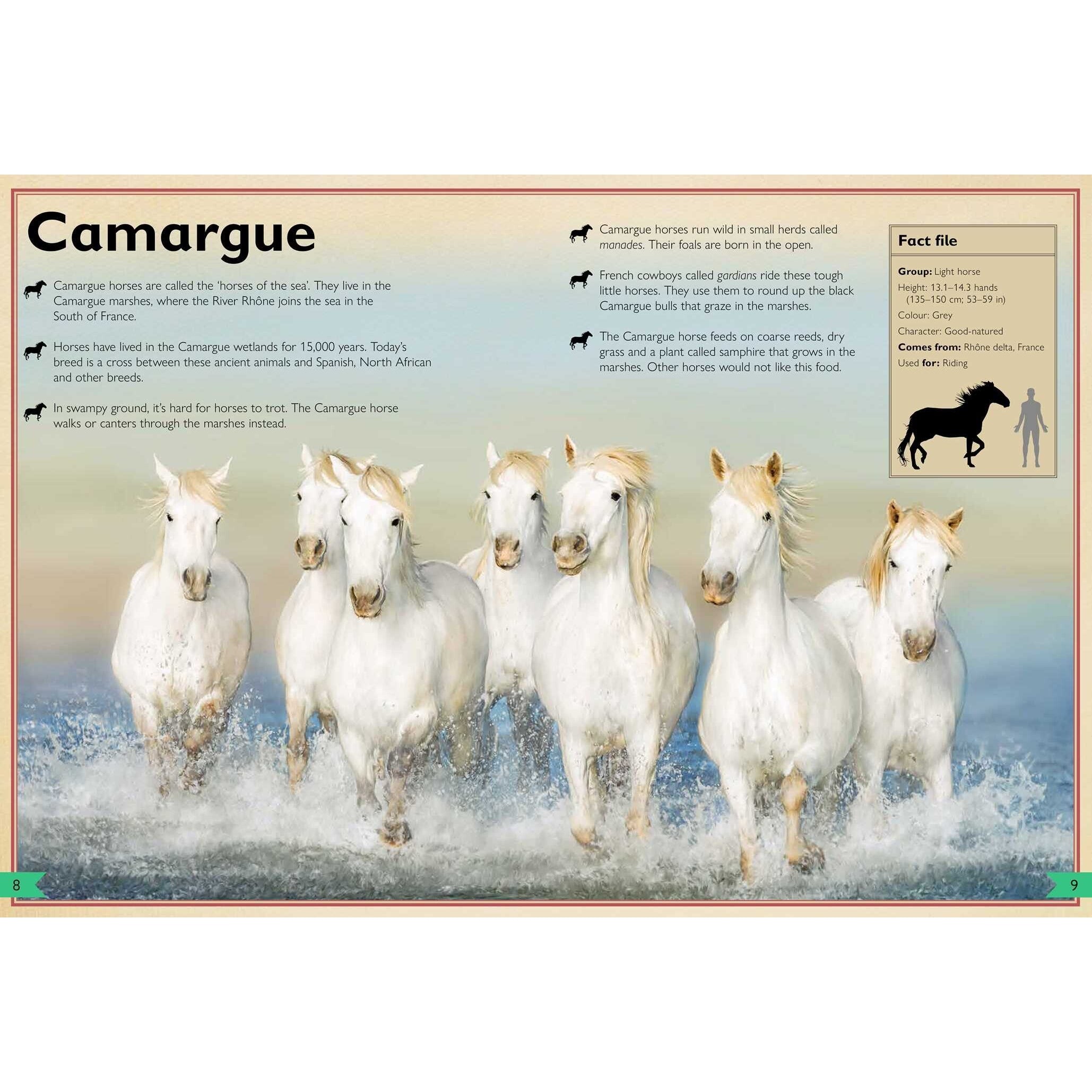 Simon & Schuster: The Magnificent Book of Horses (Hardcover Book)-SIMON & SCHUSTER-Little Giant Kidz