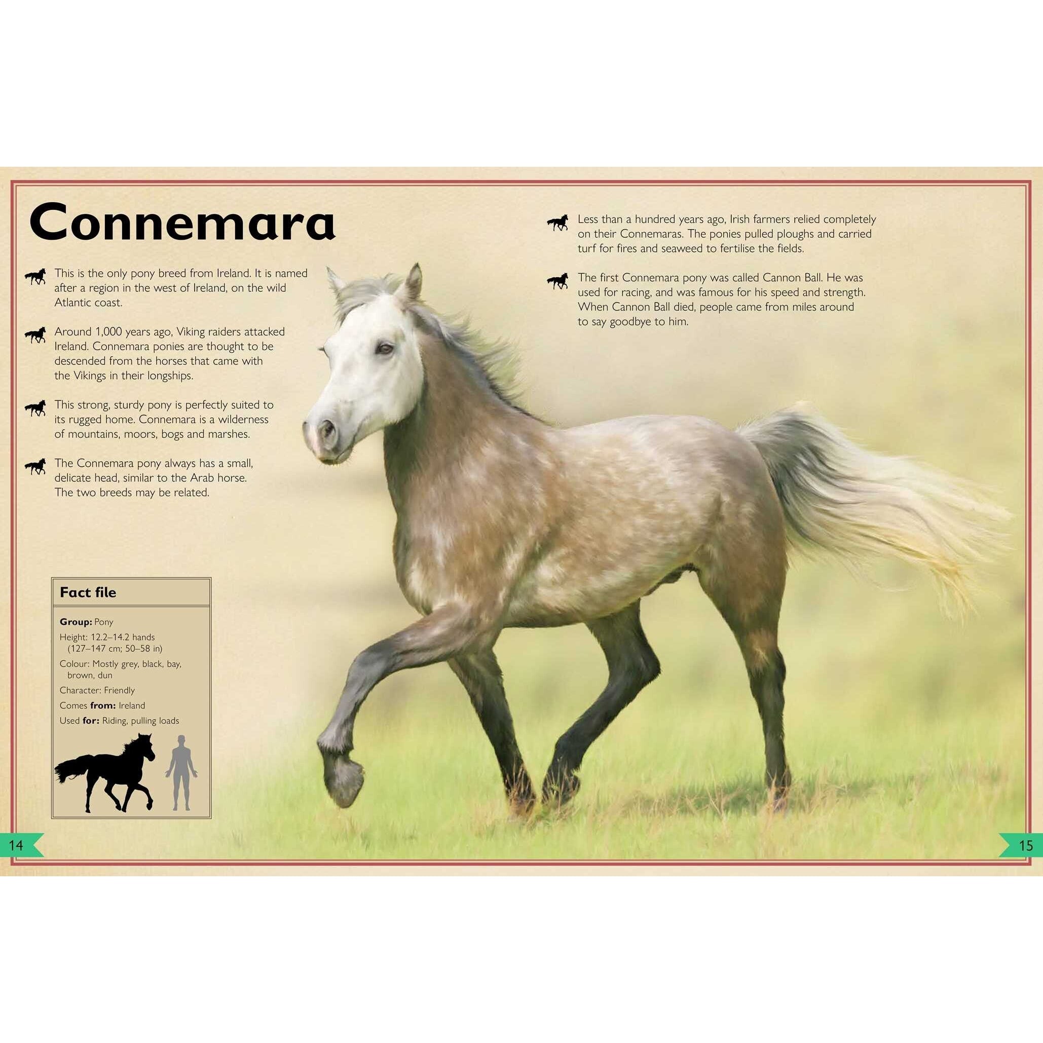 Simon & Schuster: The Magnificent Book of Horses (Hardcover Book)-SIMON & SCHUSTER-Little Giant Kidz