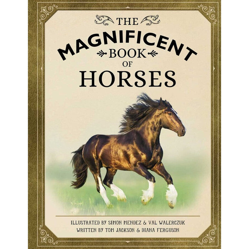 Simon & Schuster: The Magnificent Book of Horses (Hardcover Book)-SIMON & SCHUSTER-Little Giant Kidz