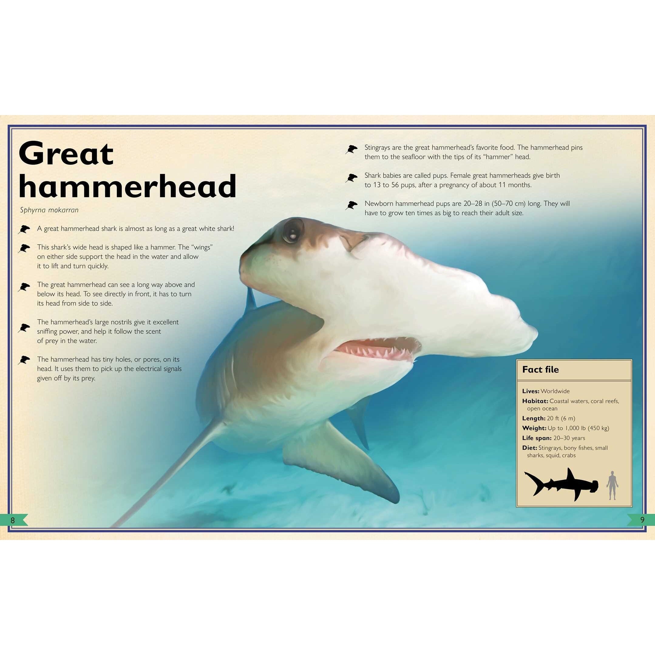 Simon & Schuster: The Magnificent Book of Sharks (Hardcover Book)-SIMON & SCHUSTER-Little Giant Kidz