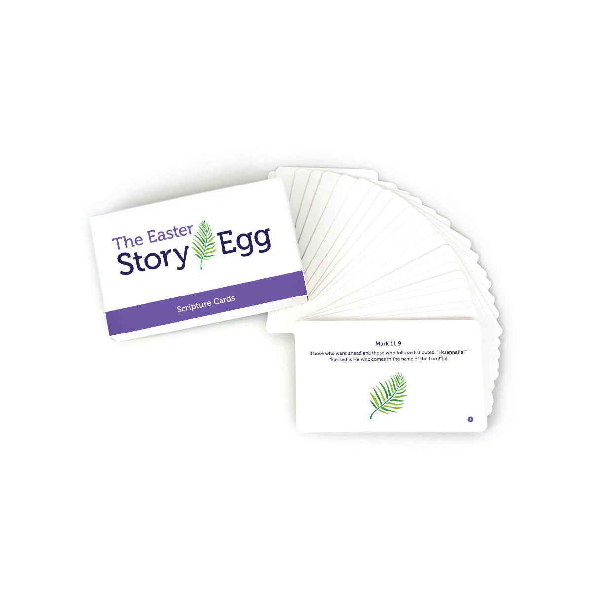 Star Kids Company Story Egg® Scripture Cards-STAR FROM AFAR-Little Giant Kidz