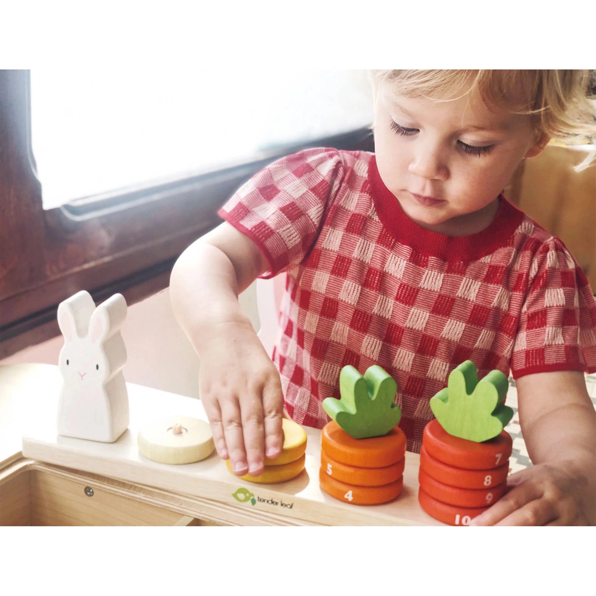 Tender Leaf Toys Counting Carrots-TENDER LEAF TOYS-Little Giant Kidz